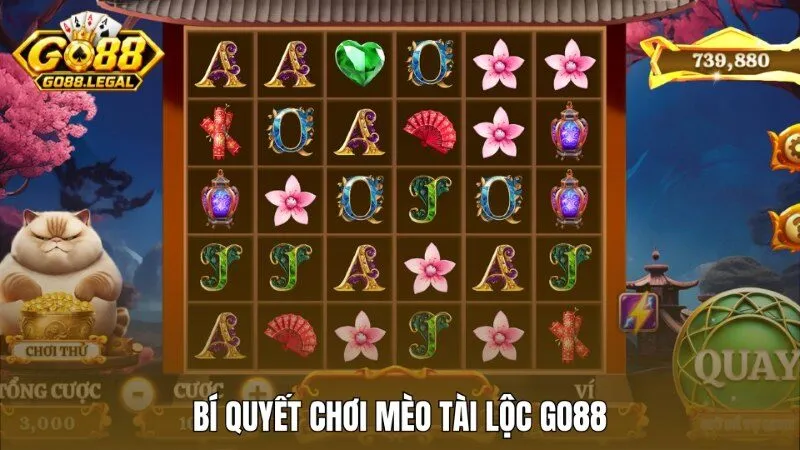 Bí quyết và chiến thuật chơi Mèo tài lộc Go88 luôn thắng