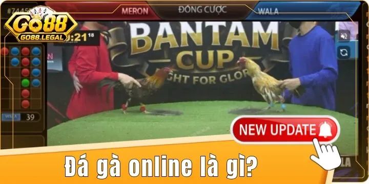 Đá gà online là gì? – Thông tin chi tiết về chơi đá gà cùng Go88