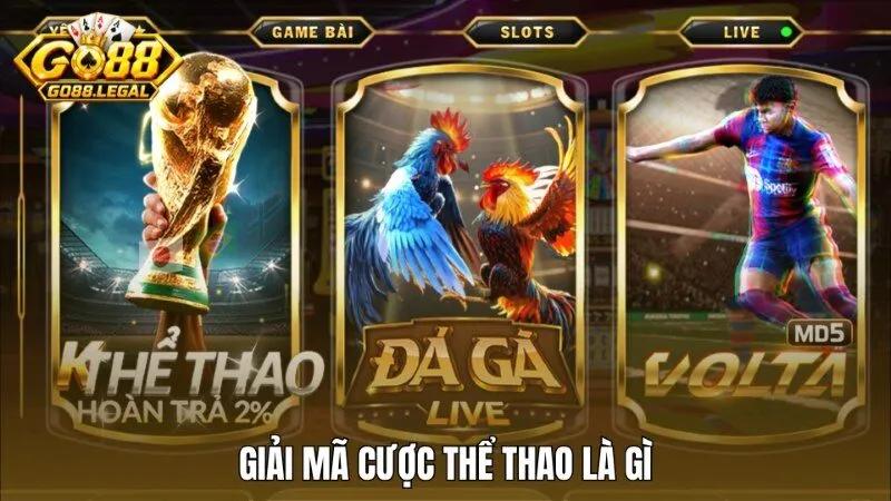 Giải mã cược thể thao là gì trên sảnh game Go88