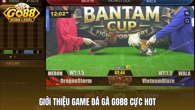 Giới thiệu game Đá gà Go88 cực hot