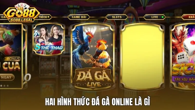 Hai hình thức chính của đá gà online là gì?