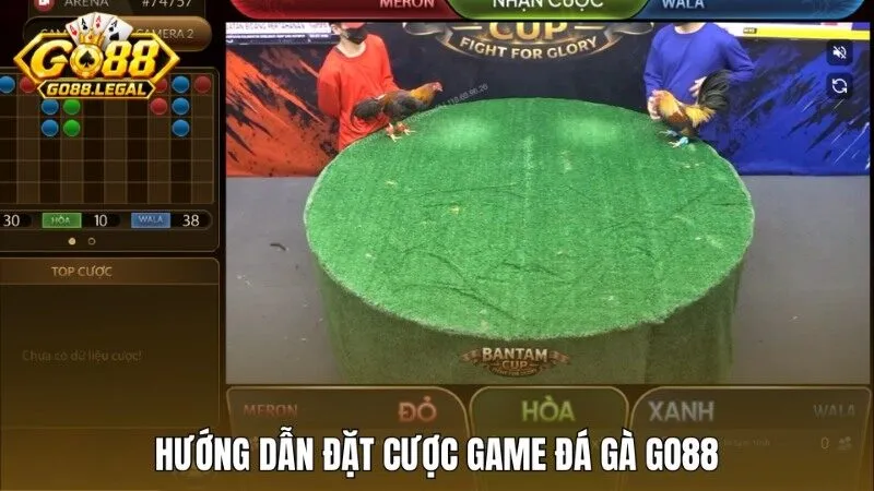 Hướng dẫn các cửa đặt cược cơ bản Đá gà Go88