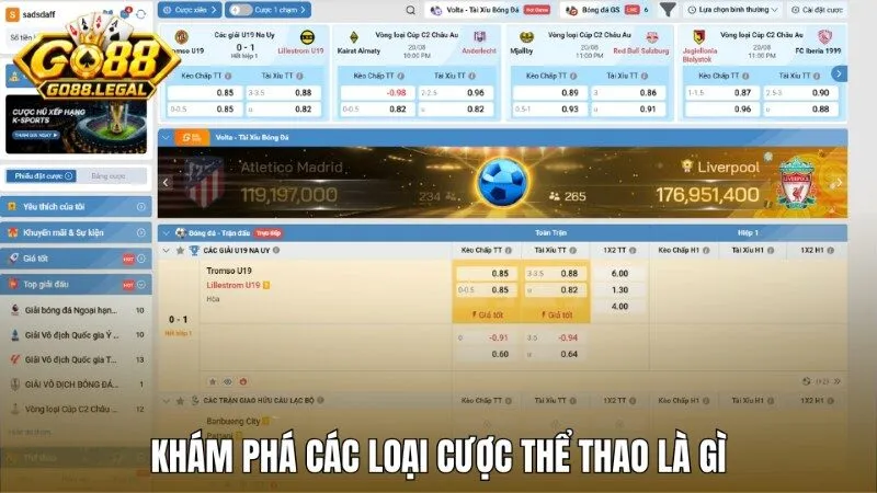 Khám phá các loại game cược thể thao có tại Go 88