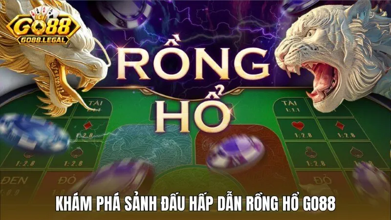 Khám phá sảnh đấu Rồng Hổ Go88 