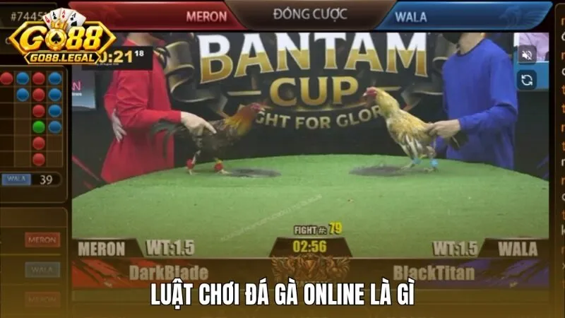 Luật chơi đá gà online dễ hiểu cho tân thủ