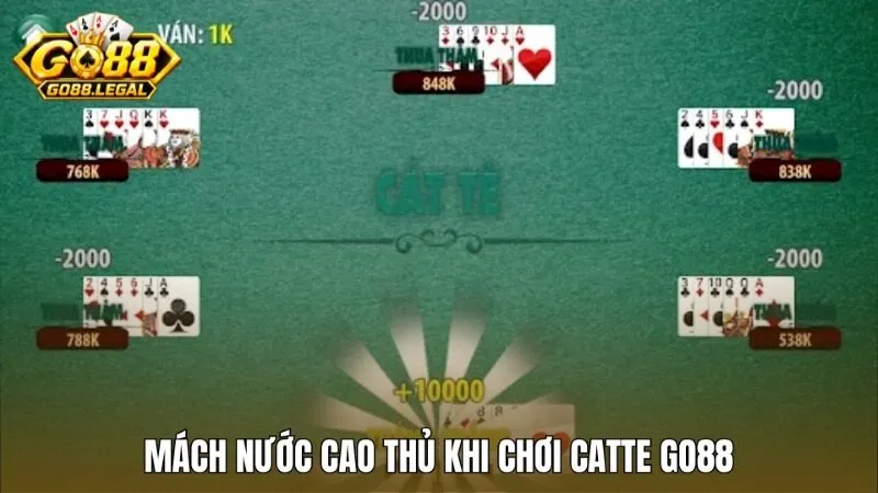 Mách nước cao thủ – Chơi Catte Go88 sao cho thật “đã”