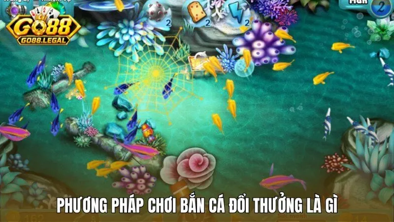 Những phương pháp vàng giúp ngư thủ ôm trọn quỹ thưởng