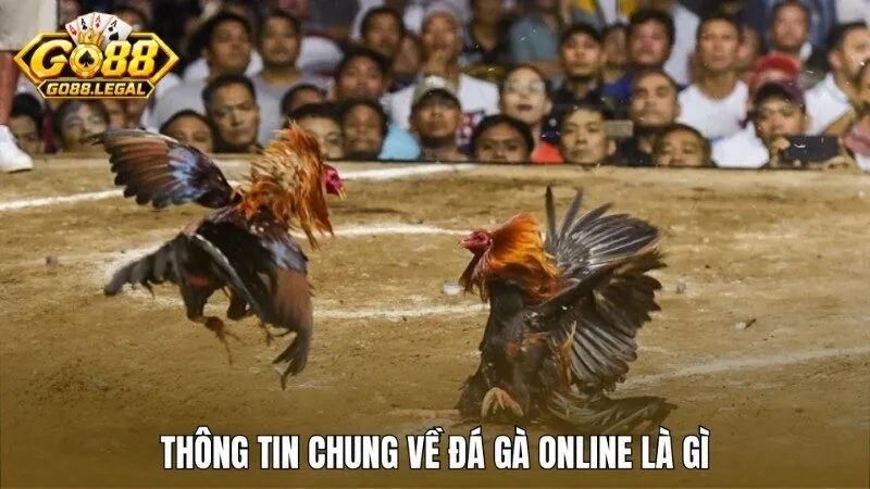 Thông tin chung về đá gà online là gì?